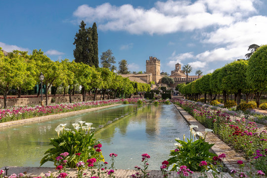 Pool at the Royal Botanical Garden, Alcazar De Los Reyes Cristianos, Cordoba, Andalucia, Spain
