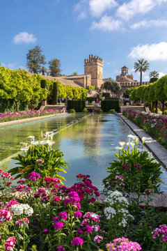 Pool at the Royal Botanical Garden, Alcazar De Los Reyes Cristianos, Cordoba, Andalucia, Spain