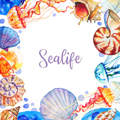 Rectangular frame with different shells and jellyfishes. hand drawn watercolor illustration