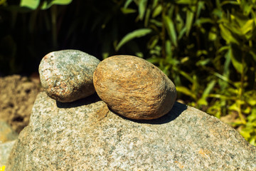 Fototapeta na wymiar Garden stones placed along the edge of a flower bed