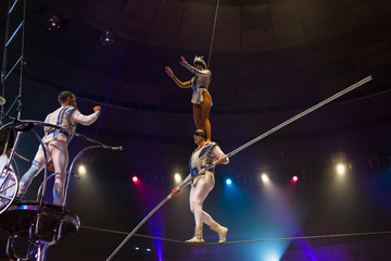 performance of aerialists in the circus arena.
