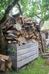 tas de bois