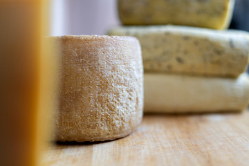 Cheese wheels produce for sale on the counter. Fresh cheese loaf selection, pile of many cheese mix.