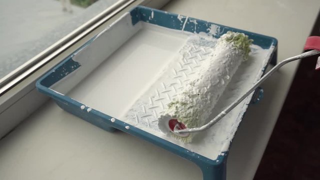 paint roller dipped in a tray with paint for painting