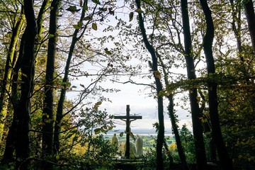 Crucifix in Cratloe Woods, Ireland