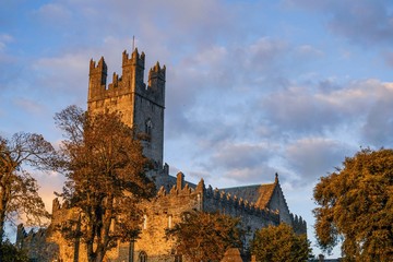 St. Mary’s Cathedral, Limerick Ireland