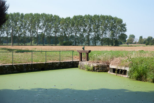 ecluse