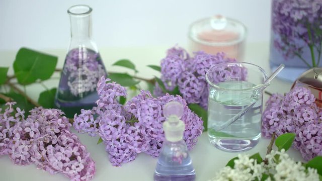 Making body care production beauty aroma bottle of perfume lilac flowers background on table. perfumer lab technician chemist cosmetician pouring cosmetic aroma glass test tube oil in liquid. 4 K