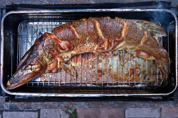 Homemade freshly caught river pike in the smokehouse in nature. Top view. Horizontal.