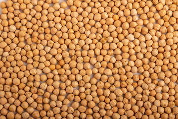 The texture of dried chickpeas peas top view