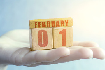 february 1st. Day 1 of month, Handmade wood cube with date month and day on female palm winter month, day of the year concept