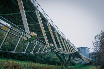 The Living Bridge, Limerick, Irealnd