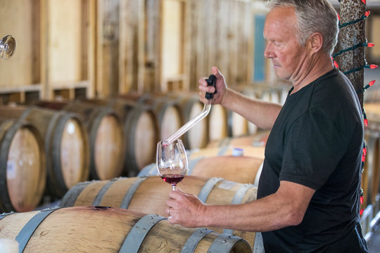winemaker uses pipette to pour sample glass of wine to taste test