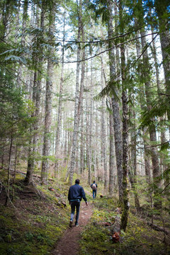Casual hikers exploring Mount Baker National Forest