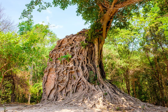 Sambor Prei Kuk, Kampong Thom Province, Cambodia