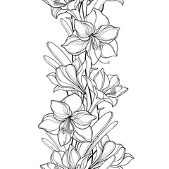 Vertical seamless pattern with outline Amaryllis or belladonna Lily flower and leaf in black on the white background. 