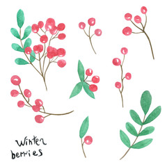  watercolor set of winter berries. Rowan twigs