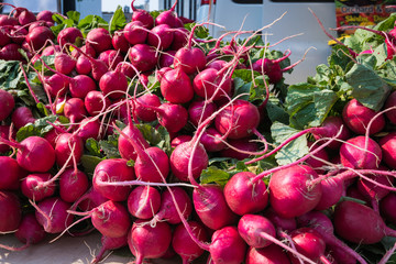 RADISHES