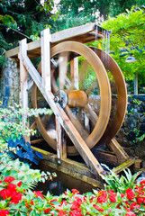Wood wheel