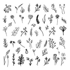 Set of hand drawn leaves, flowers, herbs. Black and white floral elements. Natural illustration with simple plants for wallpaper, scrapbooking, wrapping paper, wedding design, logo & greeting card.