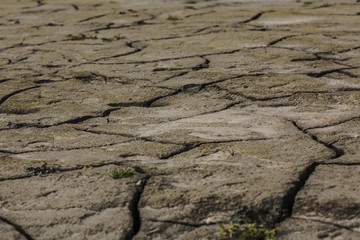 Colorful dry soil surface with deep black cracks