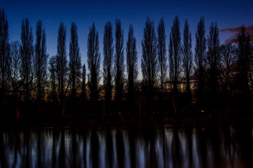 Obraz premium sunset in the forest