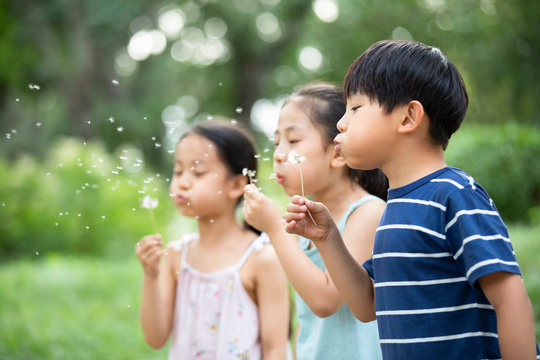 Three Chinese children blowing dandelion on grass