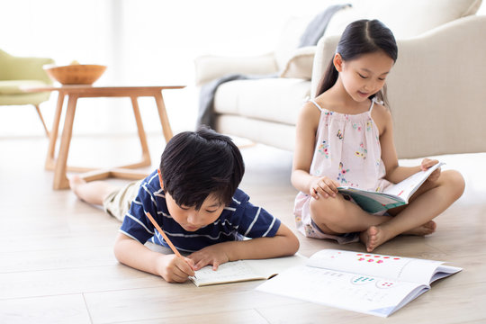 Happy Chinese sibling studying in living room