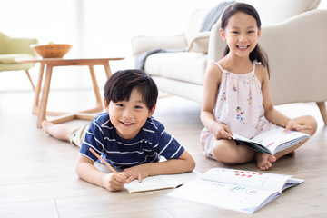 Happy Chinese sibling studying in living room