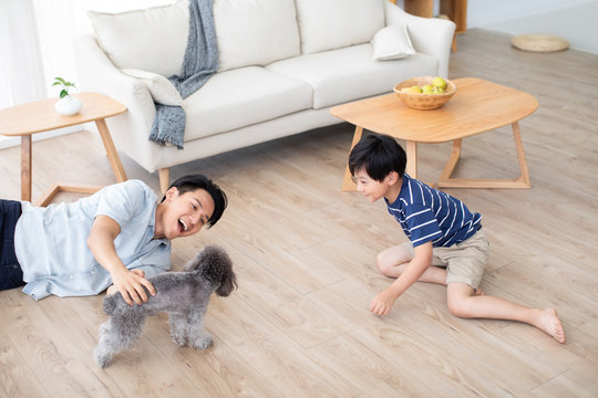 Chinese father and son playing with dog on floor