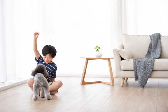 Little Chinese boy playing with dog in living room