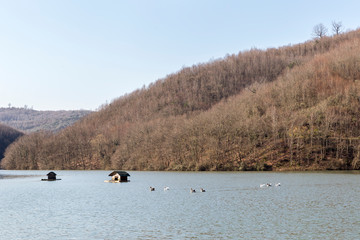 On the lake in the spring trees and duck houses.