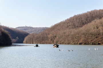 On the lake in the spring trees and duck houses.