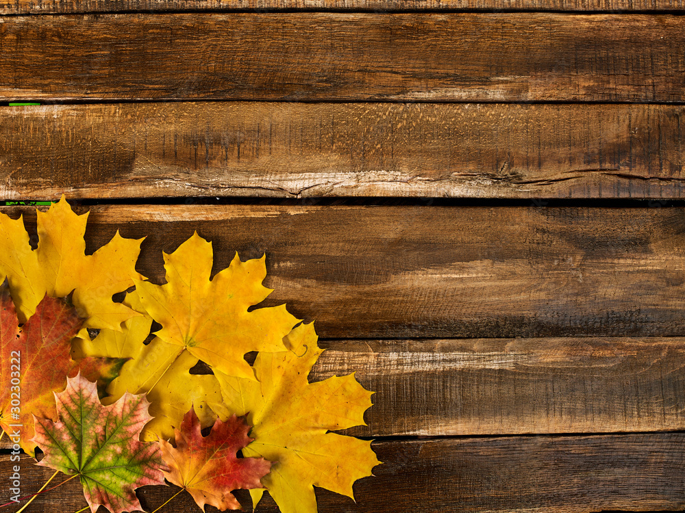 Wall mural autumn maple leaves on wooden table with copy space. top view of square frame with lower left corner
