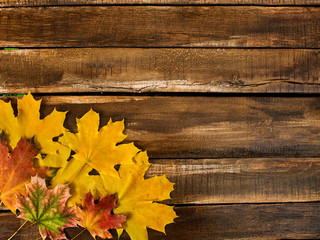 Autumn maple leaves on wooden table with copy space. Top view of square frame with lower left corner