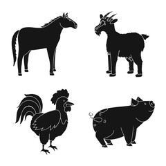 Isolated object of ranch and organic icon. Set of ranch and food stock symbol for web.