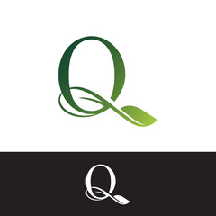 Obraz premium Luxury Tropical Nature Leaves letter Q logo.