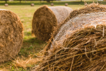 Haystack harvest field landscape. Haystack agriculture field landscape. Agriculture field haystacks. Photo landscape haystack rolls in the field. Soft focus
