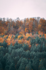 View of yellow, orange and evergreen autumn forest on the hills