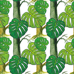 Seamless background. Watercolor trees and monstera leaves, drawn with colored pencils. Isolated on white. Design for card, poster or wallpaper.