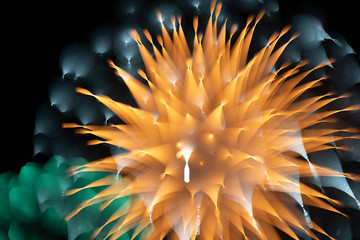 Bright fireworks on night sky