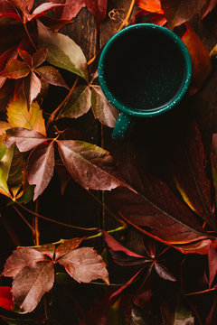 From above green cup surrounded by autumn colorful leaves with drink on wooden table