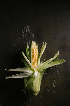 Top view of steps of fresh ripe corn peeling on black table