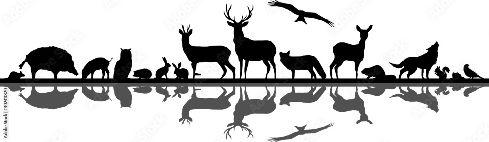 Wall mural wild animals forest landscape vector silhouette