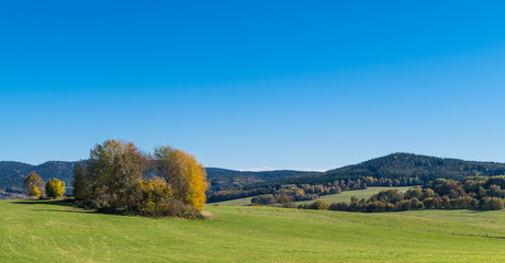 Sunlit autumn trees on a mountain pasture. Scenic panorama under clear blue sky. Green grass on natural meadow in rural landscape with view on wooded hills. Panoramic scenery of South Bohemia, Europe.