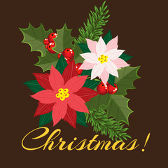 Christmas arrangement, poinsettia, fir branches, Holly leaves and red berries of mistletoe. Vector illustration for postcards, banners, posters, greetings, covers and cards