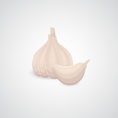 Garlic vector icon.