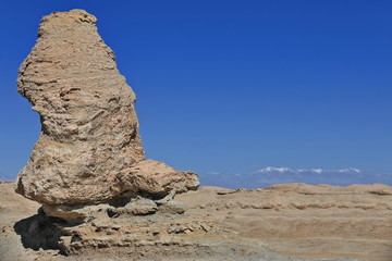 Pinnacle shaped yardang-wind eroded rock surface. Qaidam basin desert-Qinghai-China-0582