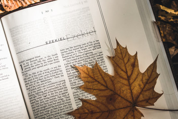Naklejka na ściany i meble Holy Bible on top of fallen autumn leaves.