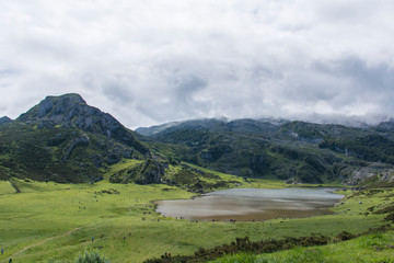 Fototapeta na wymiar lagos de Covadonga ,Asturias